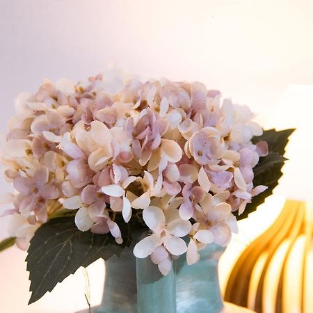 Pouso Primavera Тирадентеш Екстериор снимка